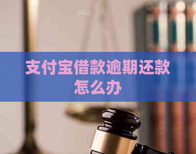 支付宝借款逾期还款怎么办