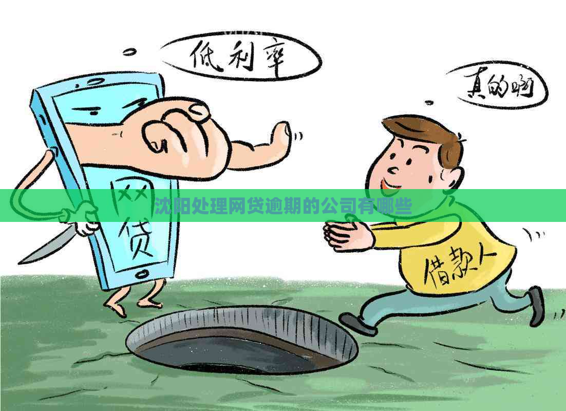 沈阳处理网贷逾期的公司有哪些