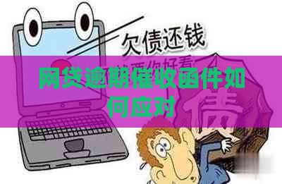 网贷逾期函件如何应对
