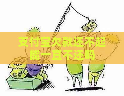 支付宝欠款还不起能一直不还吗