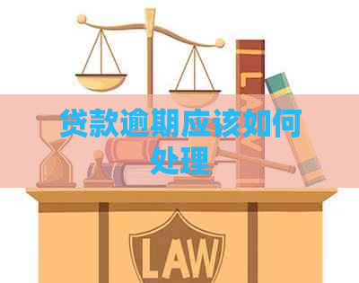 贷款逾期应该如何处理