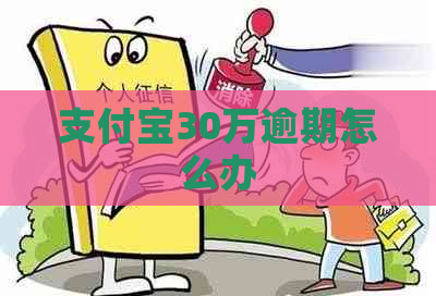 支付宝30万逾期怎么办