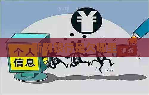 新网银行是欠哪里