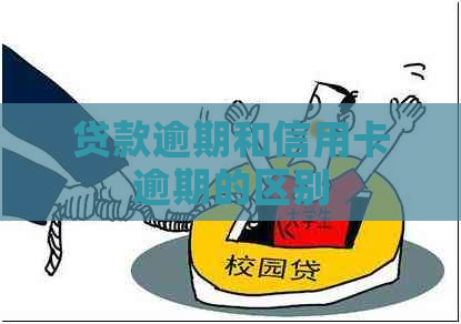 贷款逾期和信用卡逾期的区别