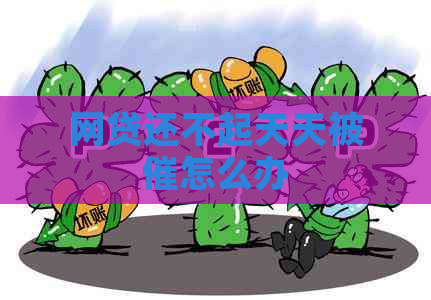 网贷还不起天天被催怎么办
