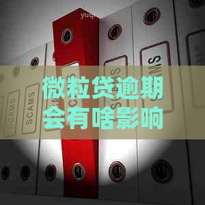 微粒贷逾期会有啥影响嘛