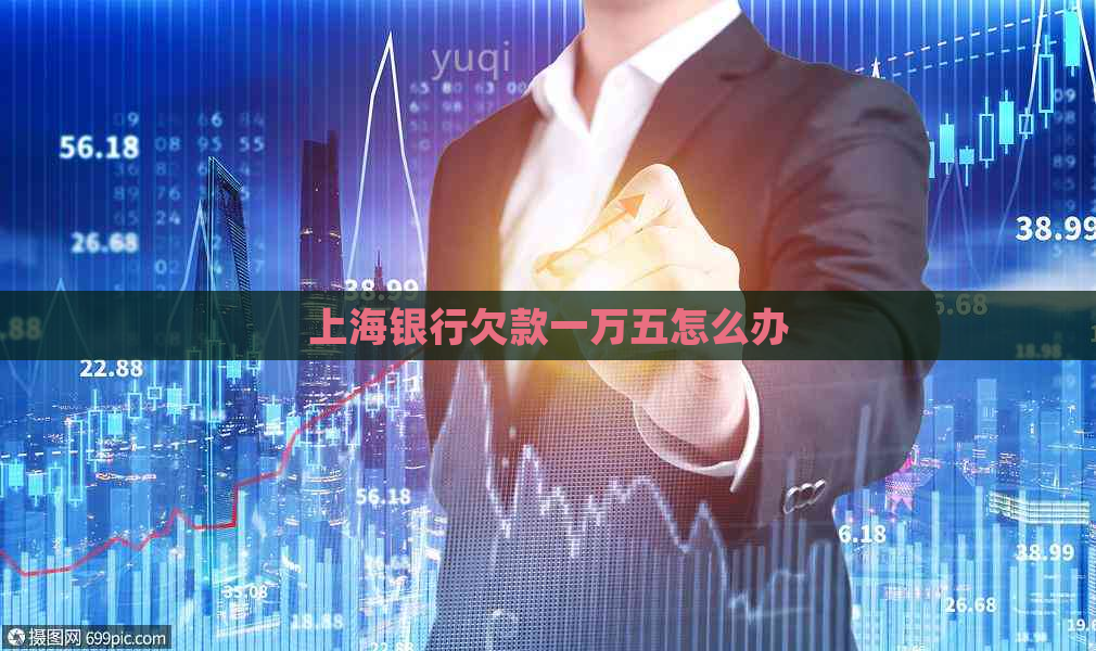上海银行欠款一万五怎么办