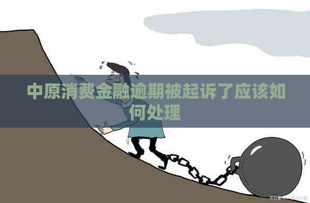 中原消费金融逾期被起诉了应该如何处理