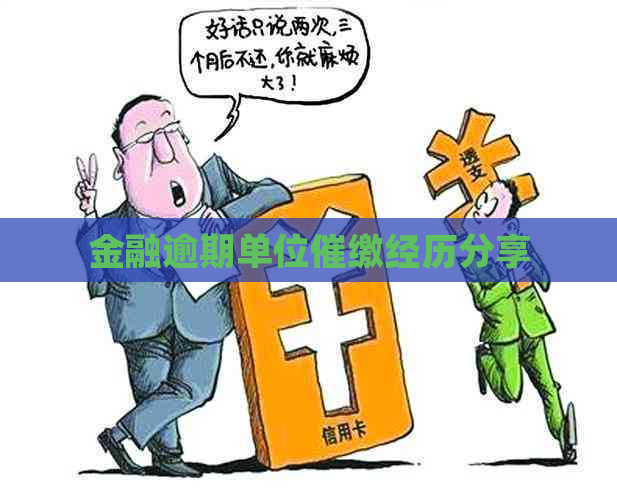 金融逾期单位催缴经历分享