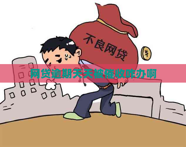 网贷逾期天天被咋办啊