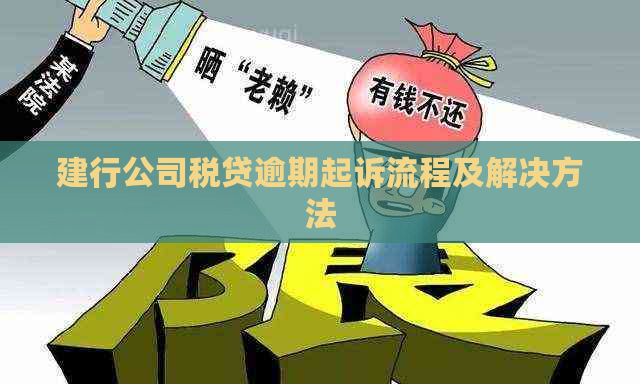 建行公司税贷逾期起诉流程及解决方法