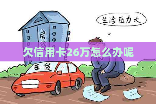 欠信用卡26万怎么办呢