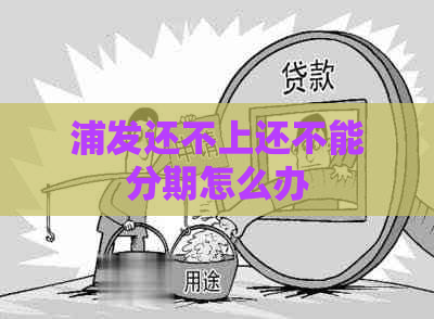 浦发还不上还不能分期怎么办