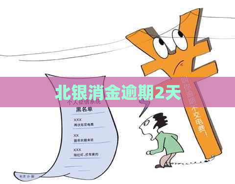 北银消金逾期2天