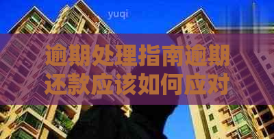 逾期处理指南逾期还款应该如何应对