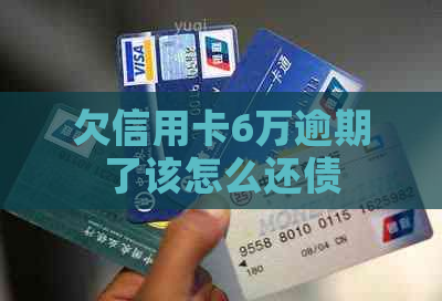 欠信用卡6万逾期了该怎么还债
