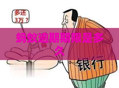 蚂蚁逾期期限是多久