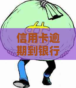 信用卡逾期到银行协商还款流程详解
