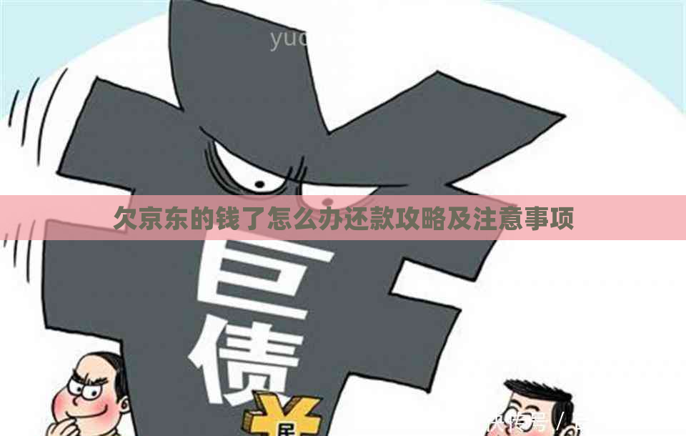 欠京东的钱了怎么办还款攻略及注意事项