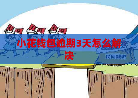 小花钱包逾期3天怎么解决