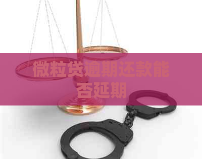 微粒贷逾期还款能否延期