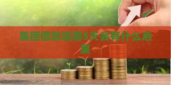 美团借款逾期5天会有什么后果