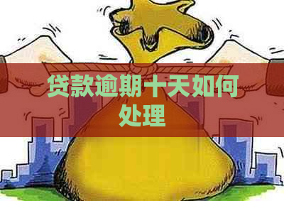 贷款逾期十天如何处理