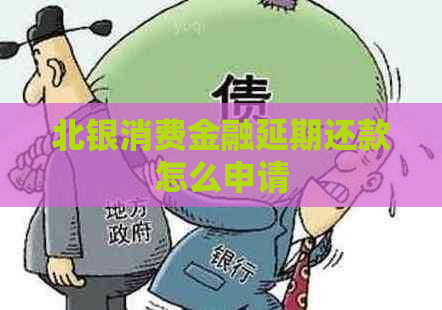 北银消费金融延期还款怎么申请