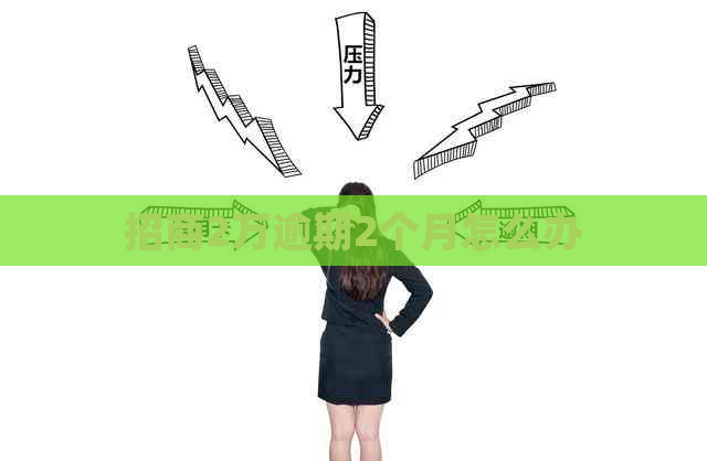 招商2万逾期2个月怎么办