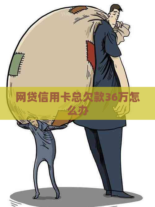 网贷信用卡总欠款36万怎么办
