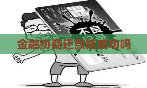 金融协商还款能成功吗