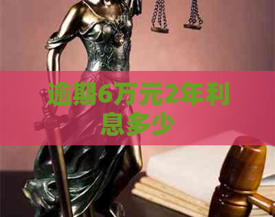 逾期6万元2年利息多少
