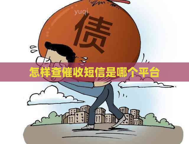 怎样查短信是哪个平台