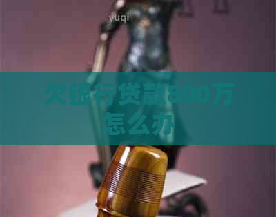 欠银行贷款800万怎么办