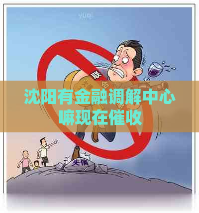 沈阳有金融调解中心嘛现在