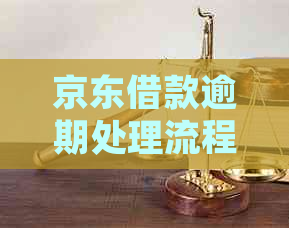 京东借款逾期处理流程
