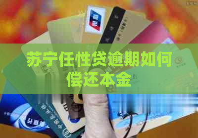 苏宁任性贷逾期如何偿还本金