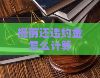 提前还违约金怎么计算