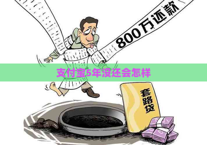 支付宝5年没还会怎样