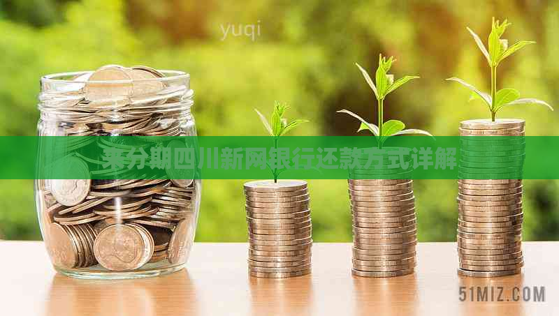 来分期四川新网银行还款方式详解