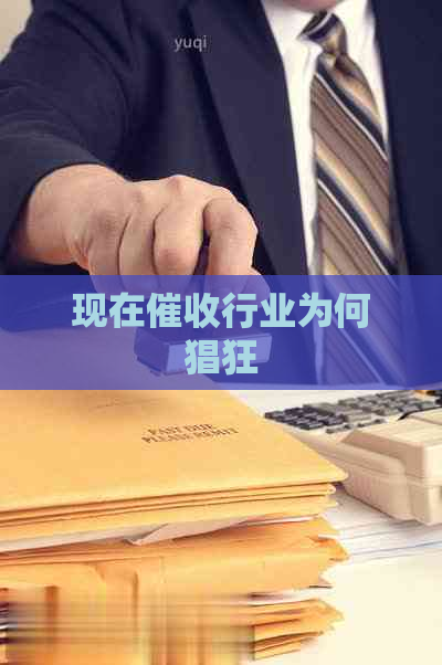 现在行业为何猖狂