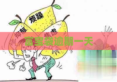 富宝袋逾期一天