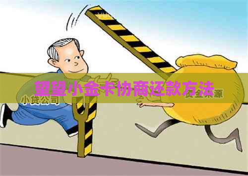 望望小金卡协商还款方法