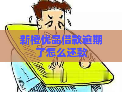 新橙优品借款逾期了怎么还款