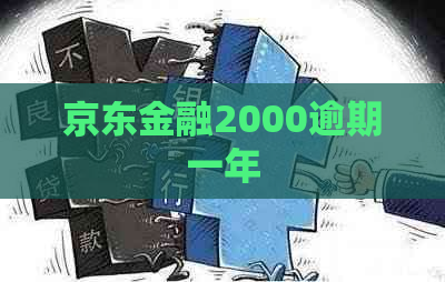 京东金融2000逾期一年