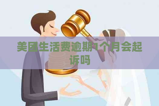 美团生活费逾期1个月会起诉吗