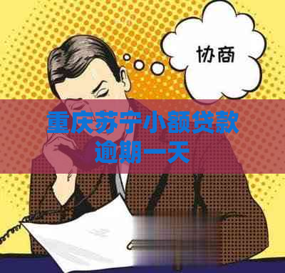 重庆苏宁小额贷款逾期一天