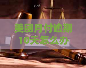 美团月付逾期10天怎么办