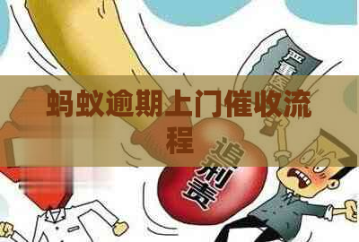 蚂蚁逾期上门流程