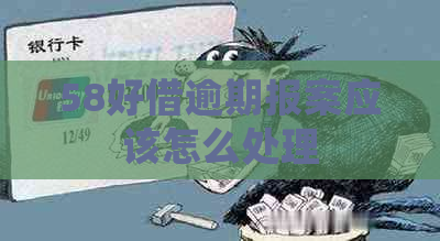58好借逾期报案应该怎么处理
